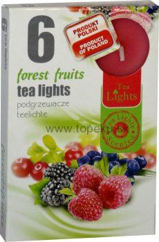 Admit Čajové vonné sviečky (6ks) - Forest Fruit