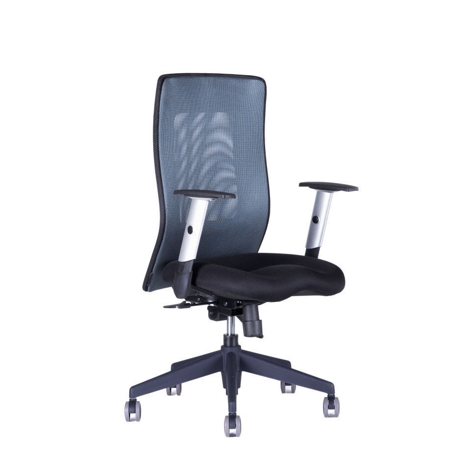 Ergonomická kancelárska stolička OfficePro Calypso Grand Farba: antracitová, Opierka hlavy: bez opierky