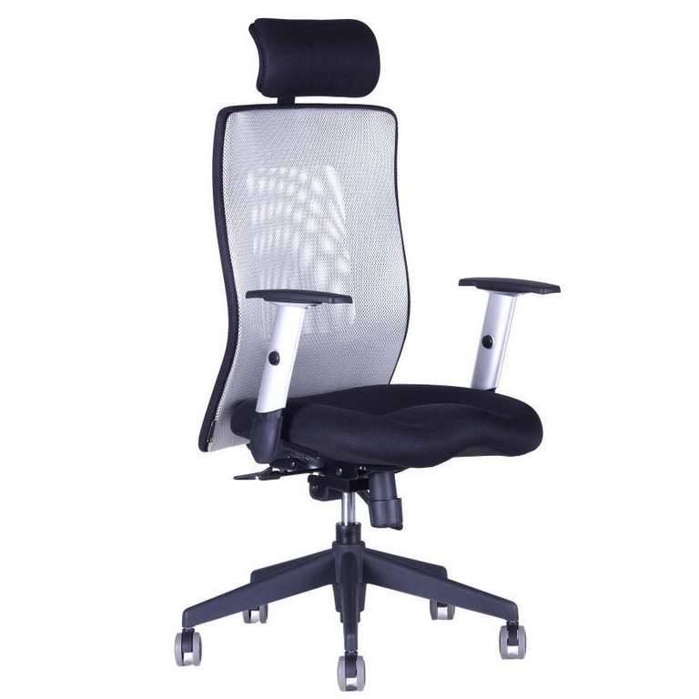 Ergonomická kancelárska stolička OfficePro Calypso XL Farba: sivá, Opierka hlavy: s opierkou