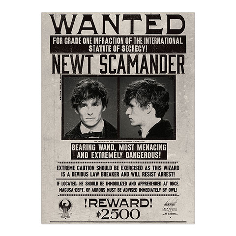 Minalima Plakát Newt Scamander - Fantastické zvěře