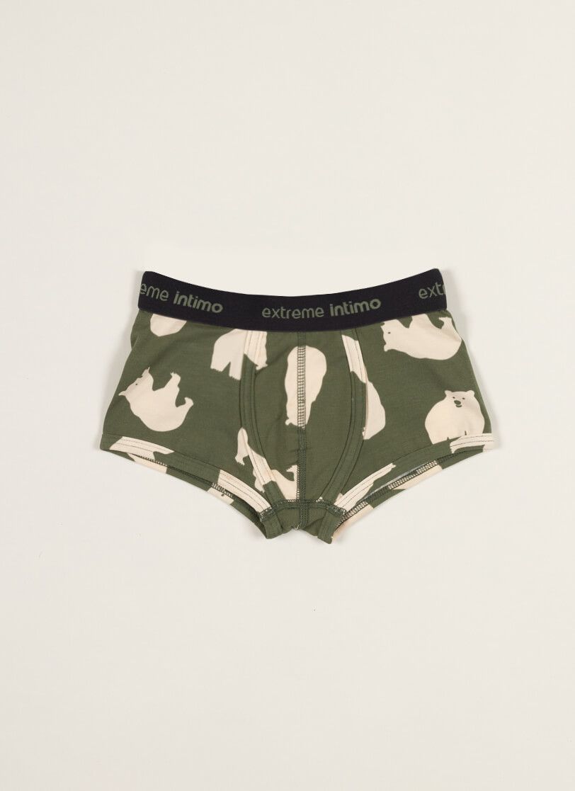 Boxerky LEDNÍ MEDVĚDI khaki Extreme Intimo velikost: 8