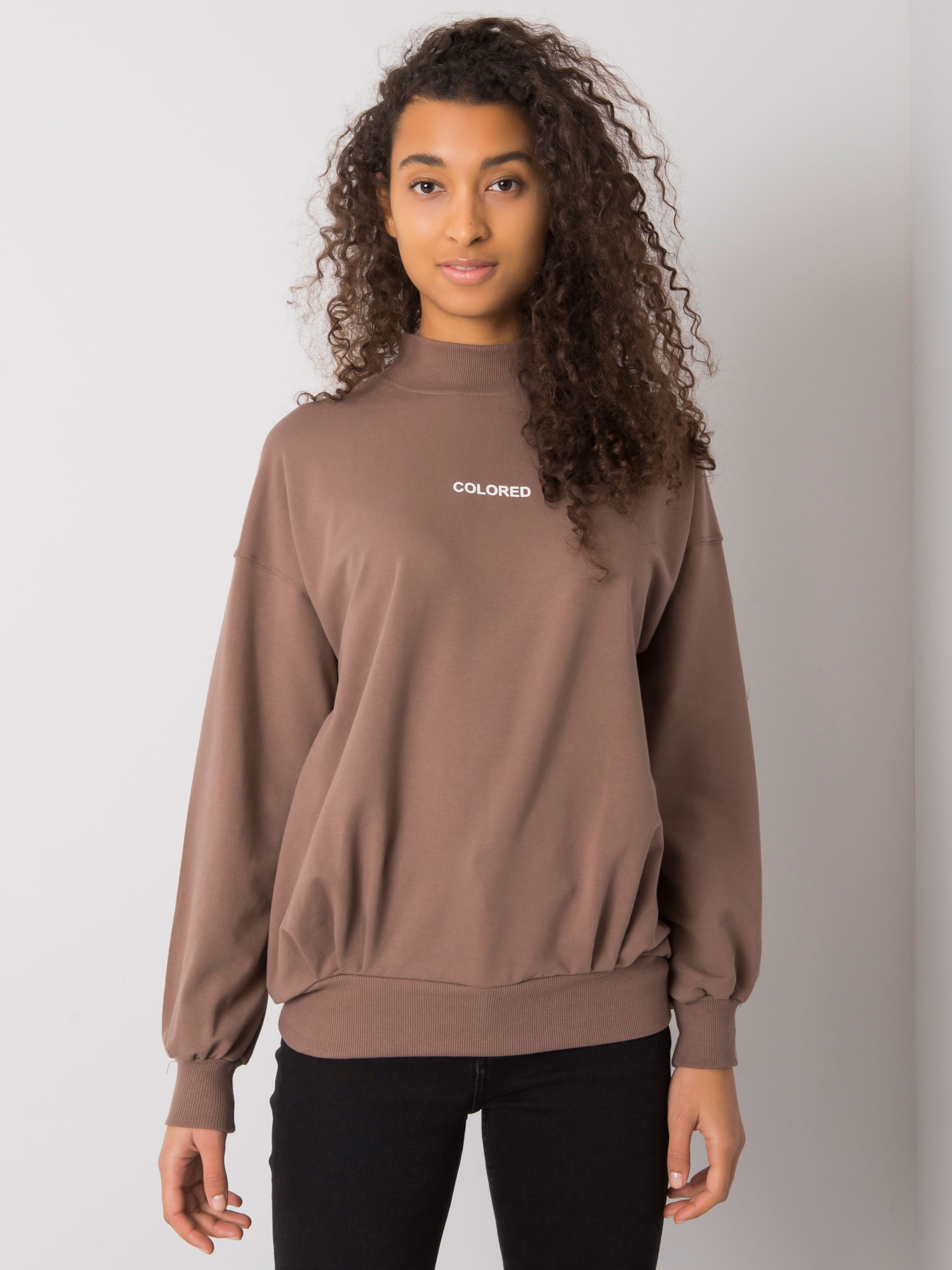 HNĚDÁ MIKINA SE STOJÁČKEM COLORED RV-BL-7323.00X-BROWN Velikost: L/XL