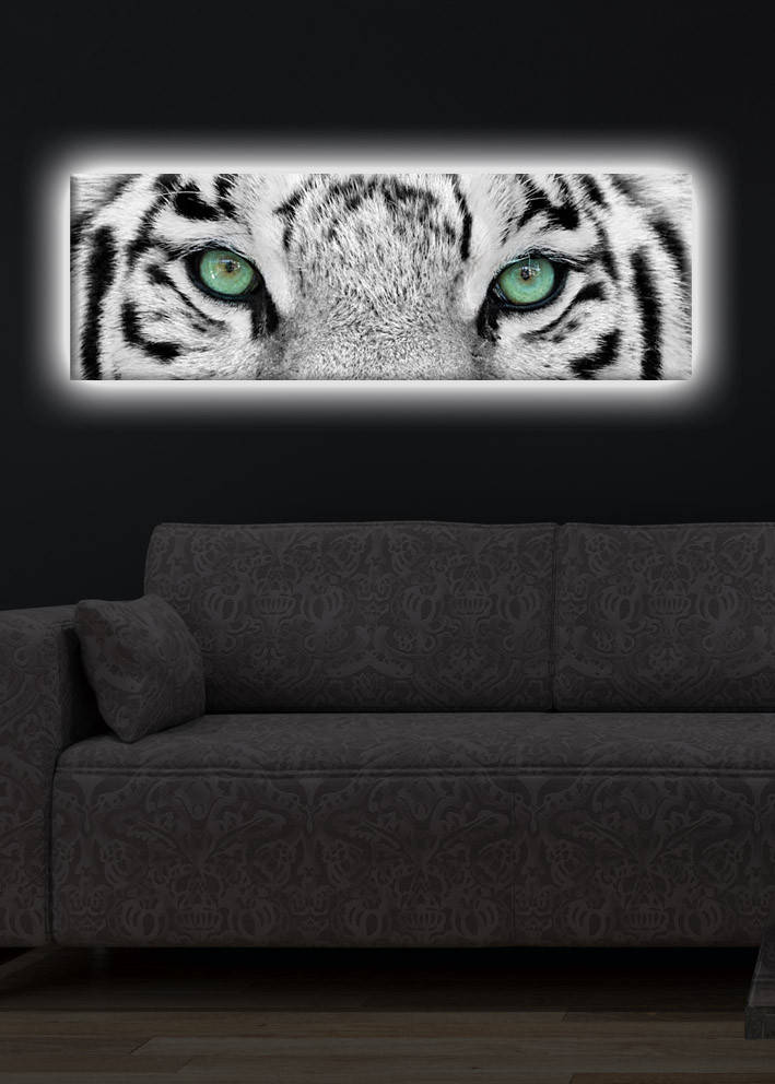 ASIR Obraz na plátne s LED podsvietením BIELY TIGER 30 cm