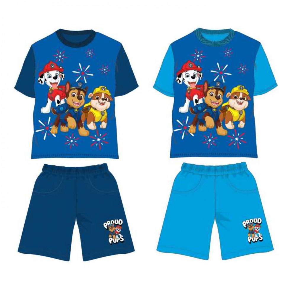 Paw Patrol - Tlapková patrola -Licence Chlapecký letní komplet - Paw Patrol 670, světle modrá Barva: Modrá, Velikost: 110