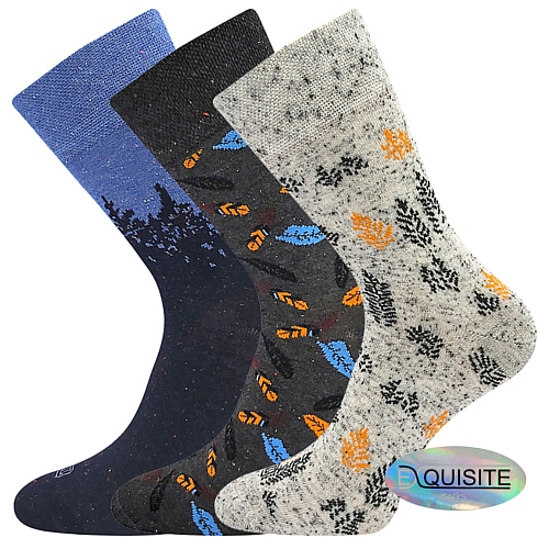 Pánské ponožky Lonka - Harry E, modrá, šedá Barva: Mix barev, Velikost: 39-42