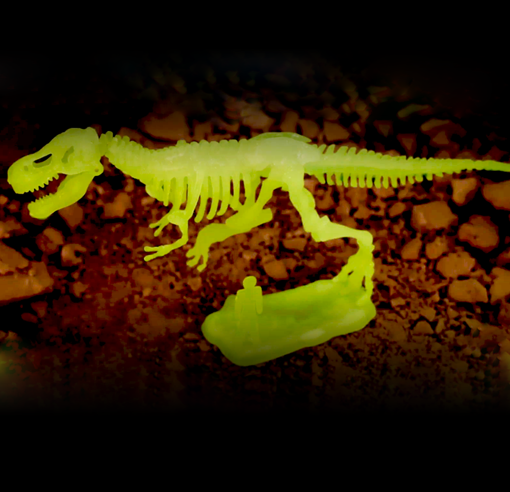 DAALO Sada pro malé archeology – Tyranosaurus Rex