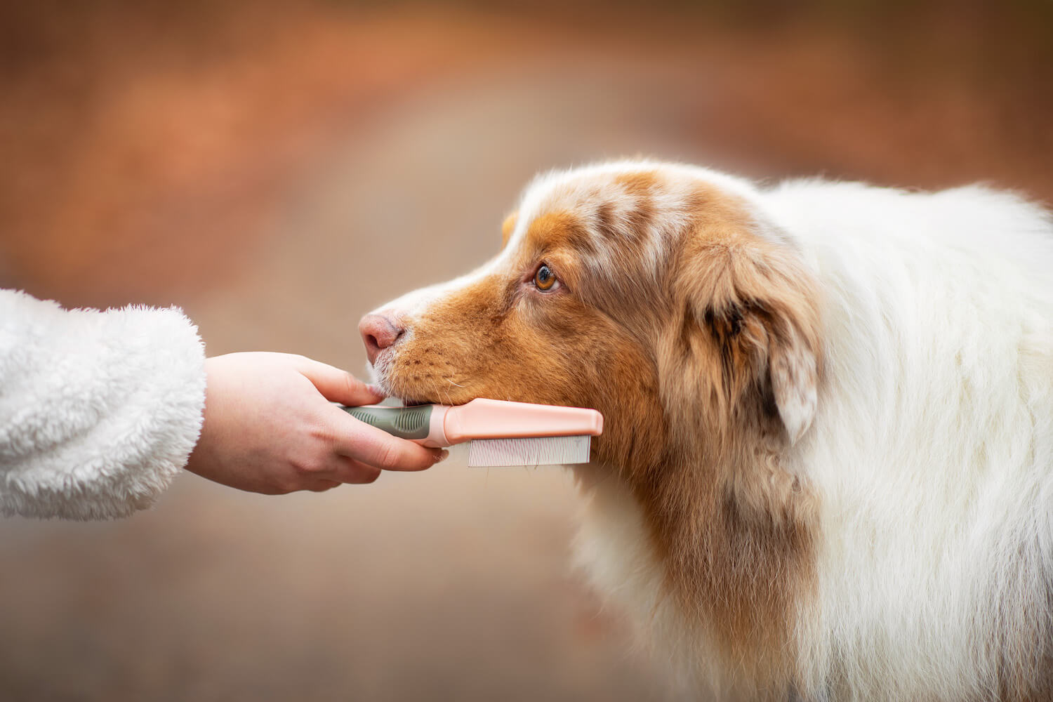 Vsepropejska Lois hřeben pro psa na blechy | 20 cm Barva: Růžová
