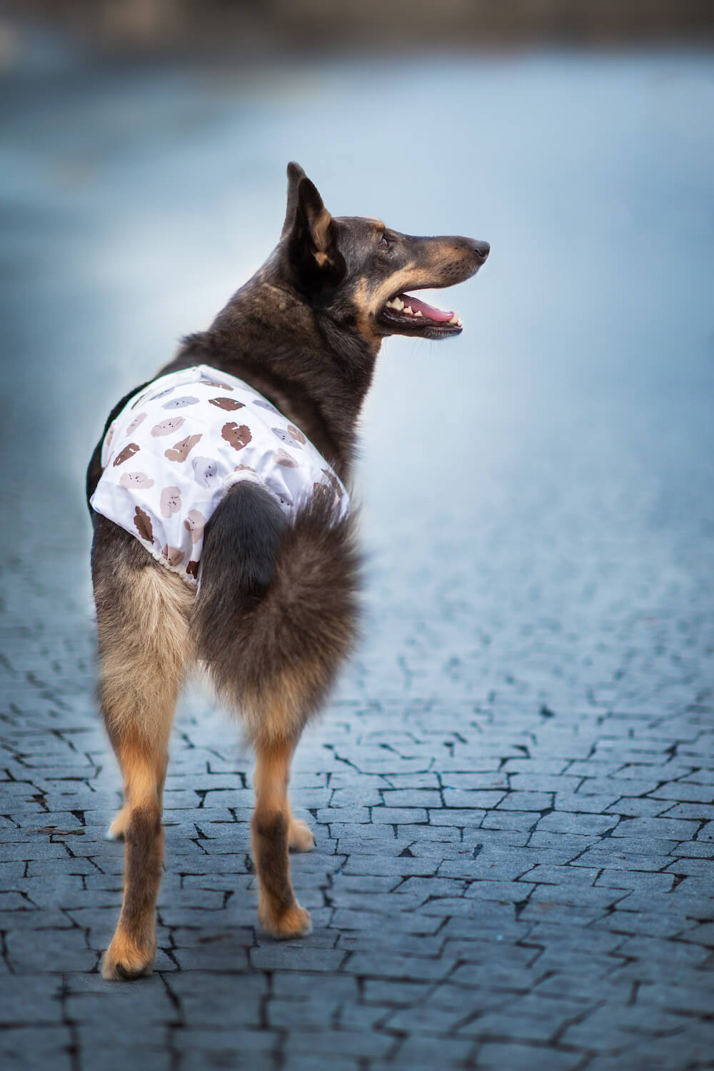 Lama hárací kalhotky pro psa Barva: Béžová, Obvod slabin (cm): 37 - 46