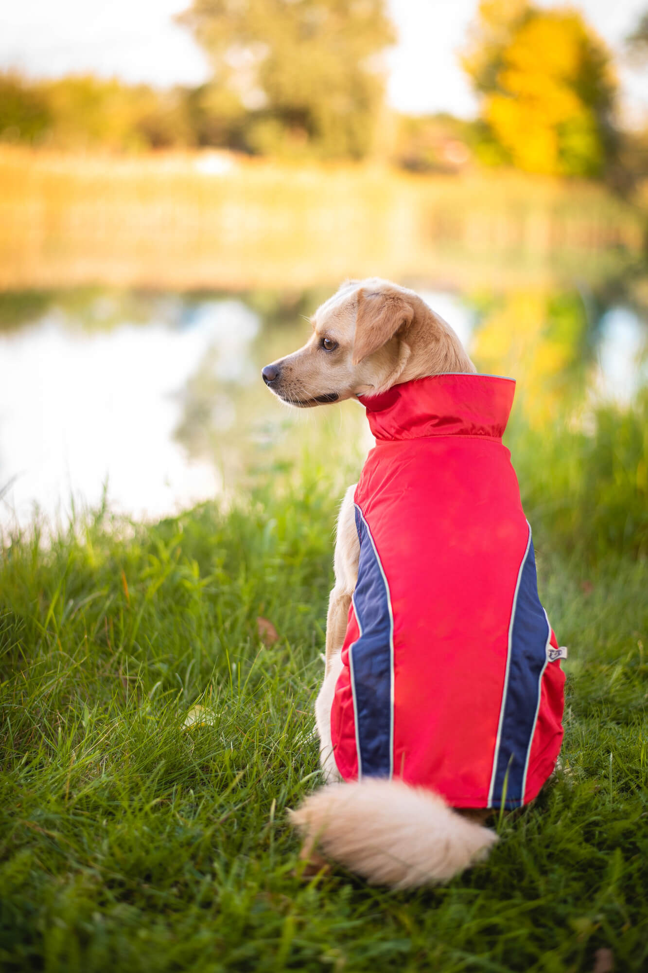 Vsepropejska Collar bunda pro psa s reflexními prvky Barva: Červená, Délka zad (cm): 38, Obvod hrudníku: 43 - 56 cm