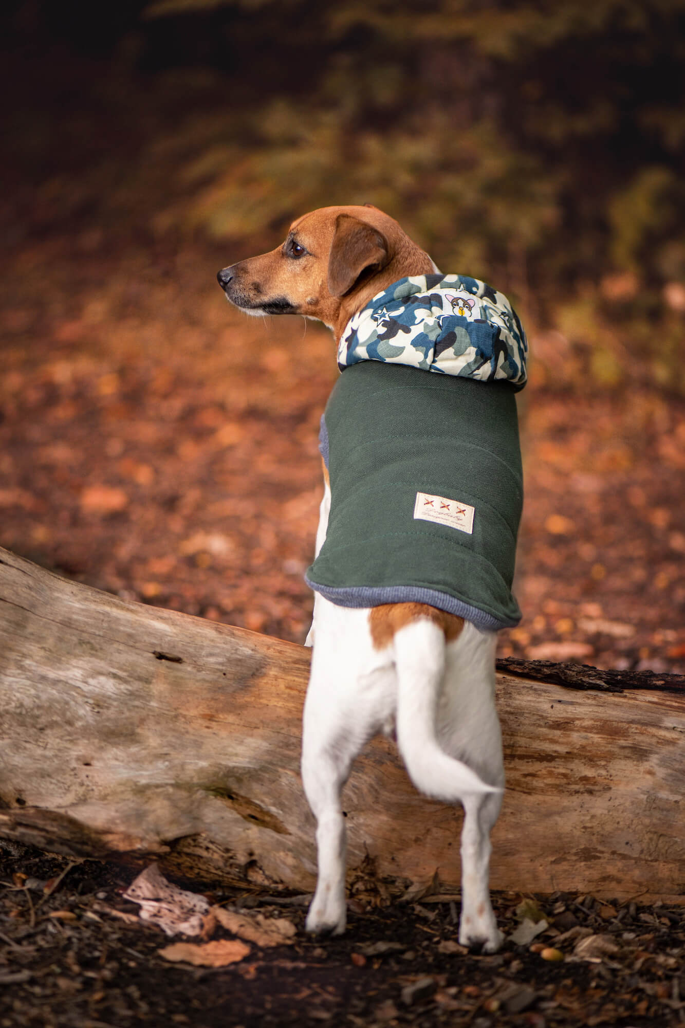 Vsepropejska Bona bunda pro psa s maskáčovou kapucí Barva: Zelená, Délka zad (cm): 41, Obvod hrudníku: 46 - 56 cm