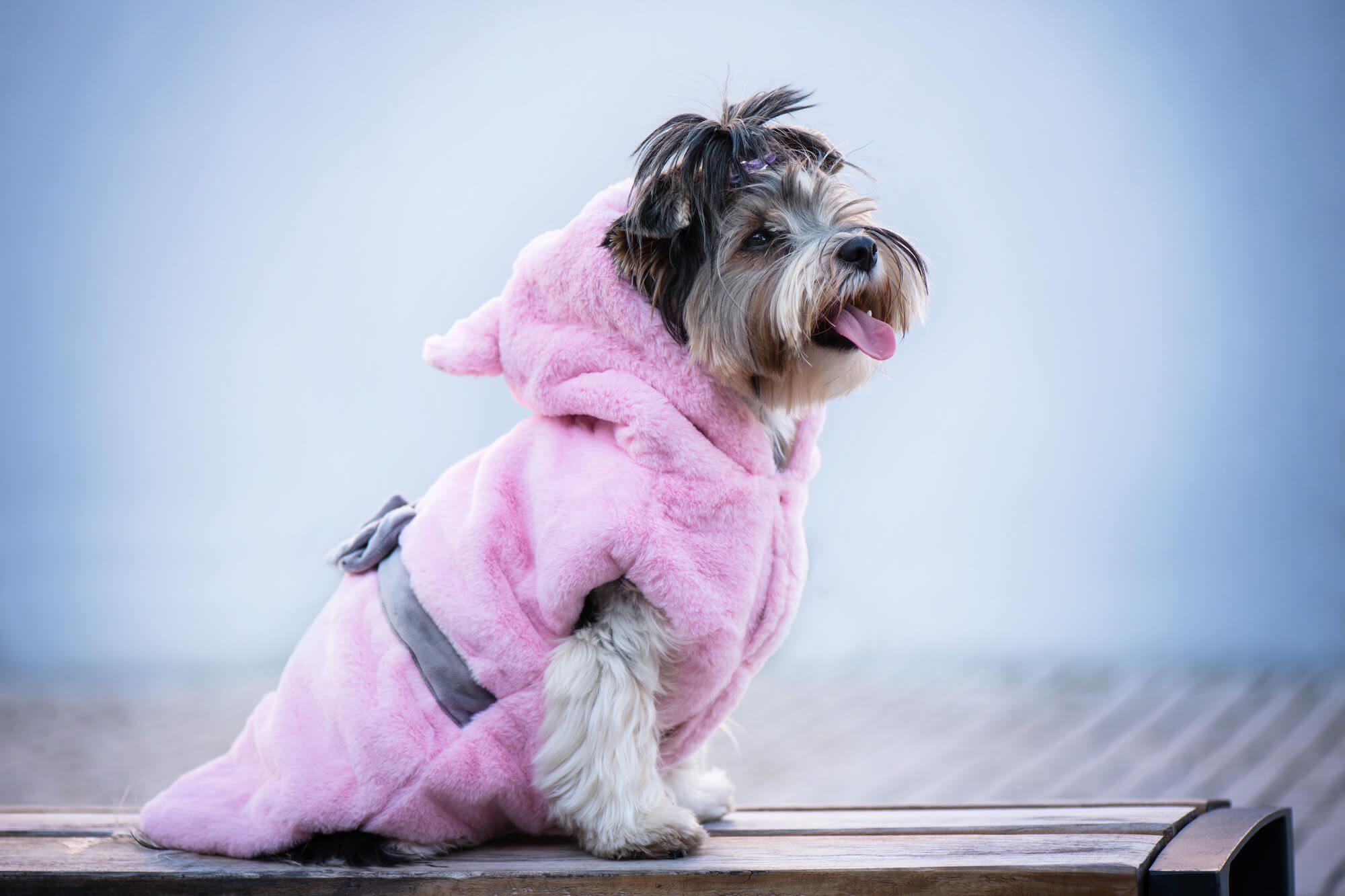 Vsepropejska Sandy růžová měkoučká mikina pro psa Barva: Růžová, Délka zad (cm): 40, Obvod hrudníku: 48 - 54 cm