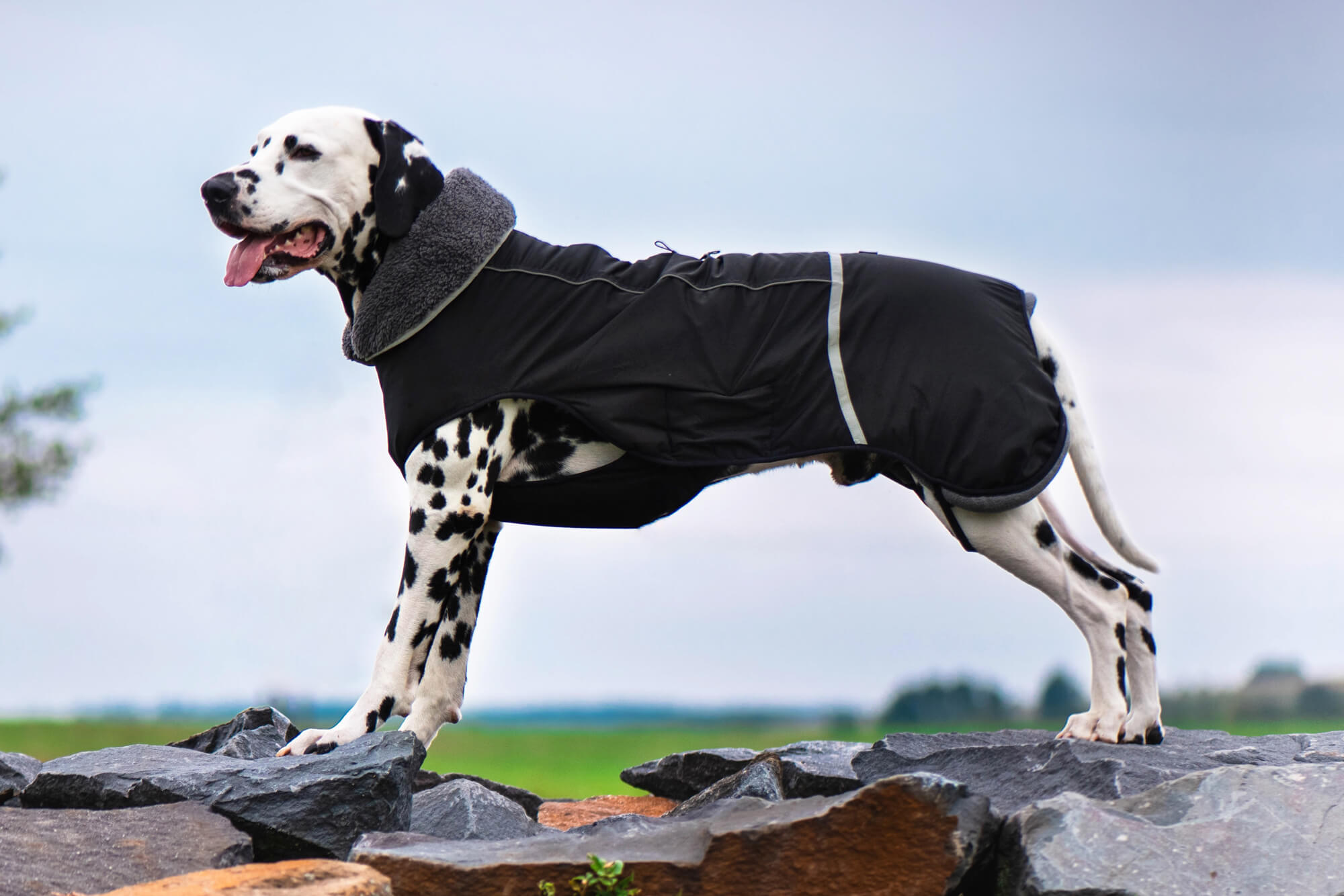 Vsepropejska Rafael bunda pro psa s kožíškem Barva: Černá, Délka zad (cm): 69, Obvod hrudníku: 86 - 116 cm
