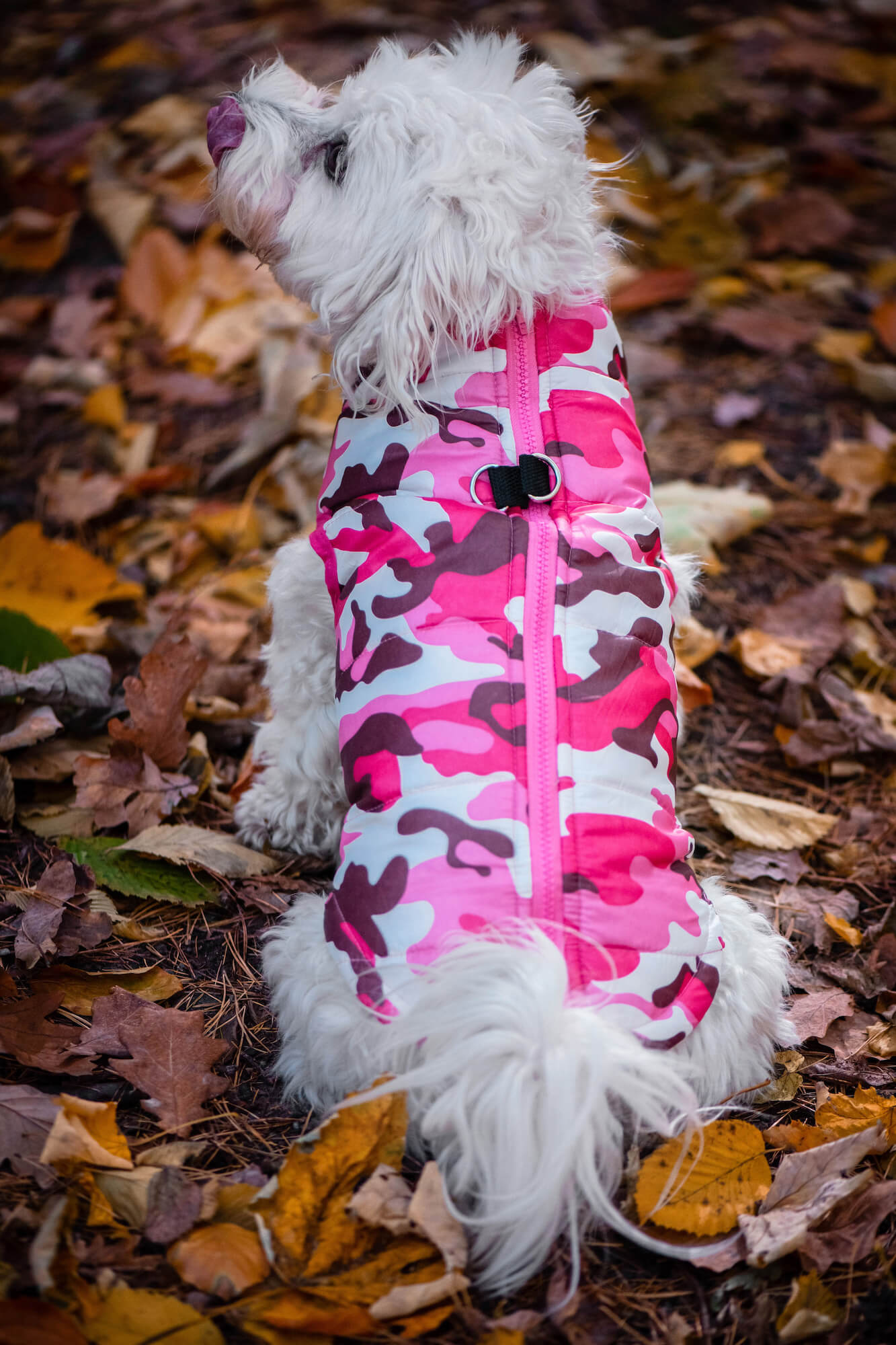 Vsepropejska Knox obleček pro psa na zip Barva: Růžová, Délka zad (cm): 33, Obvod hrudníku: 41 - 44 cm