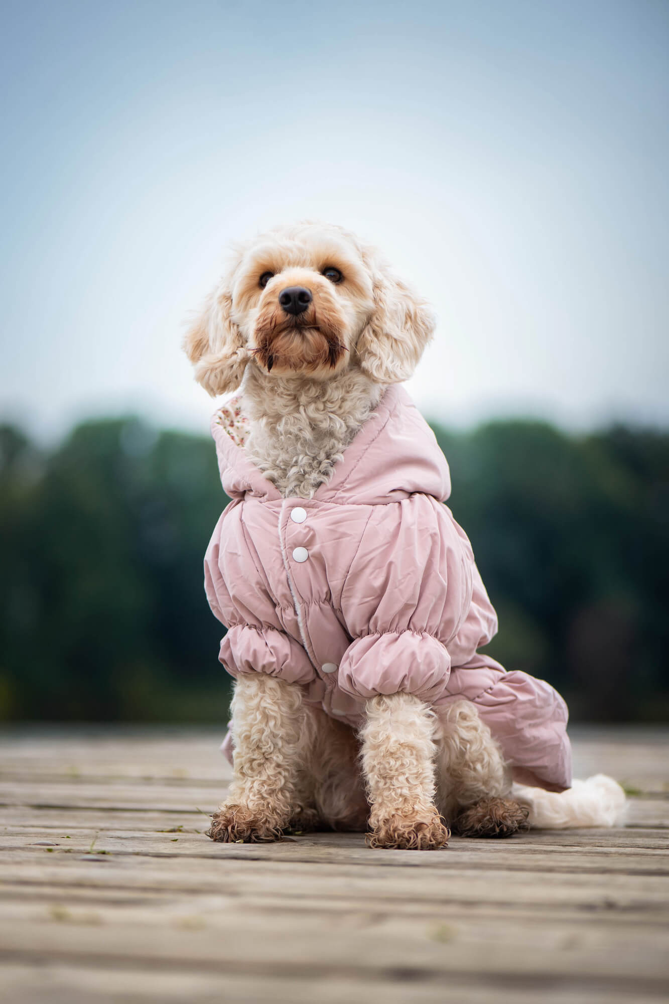 Vsepropejska Aida zimní bunda pro psa Barva: Růžová, Délka zad (cm): 34, Obvod hrudníku: 48 - 60 cm