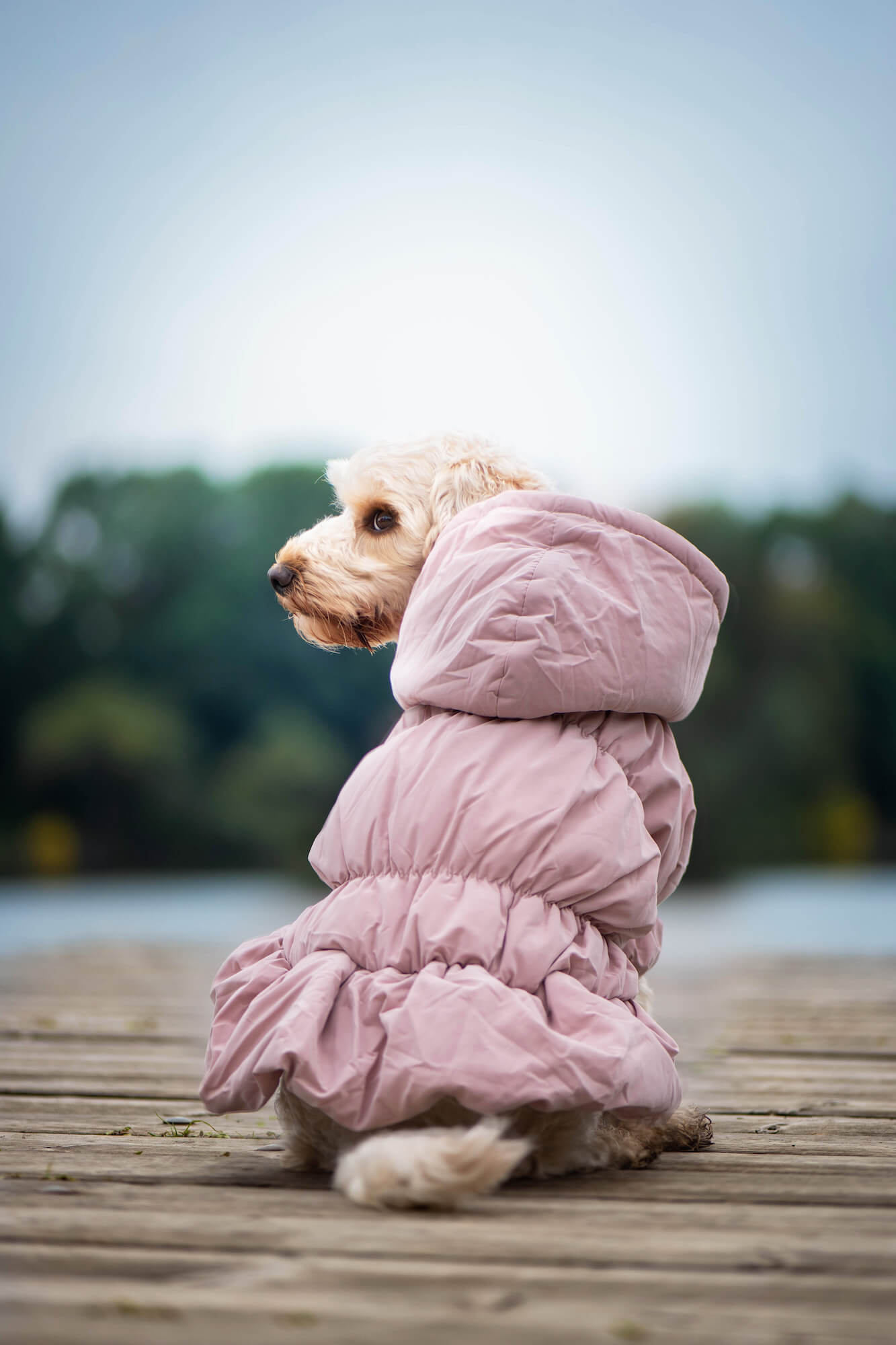 Vsepropejska Aida zimní bunda pro psa Barva: Růžová, Délka zad (cm): 26, Obvod hrudníku: 36 - 48 cm