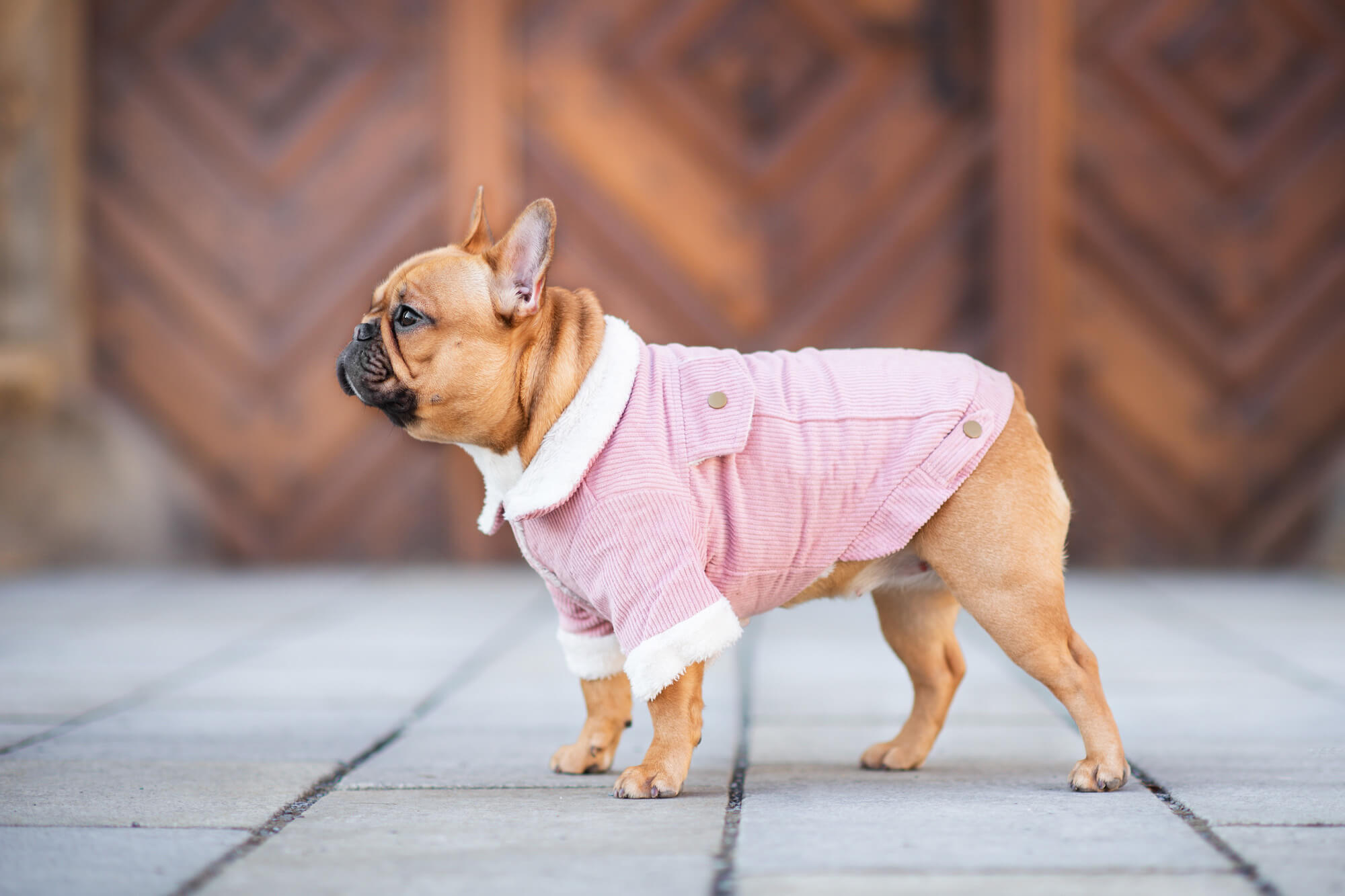 Vsepropejska Deril manšestrová bunda pro psa Barva: Růžová, Délka zad (cm): 21, Obvod hrudníku: 29 - 32 cm