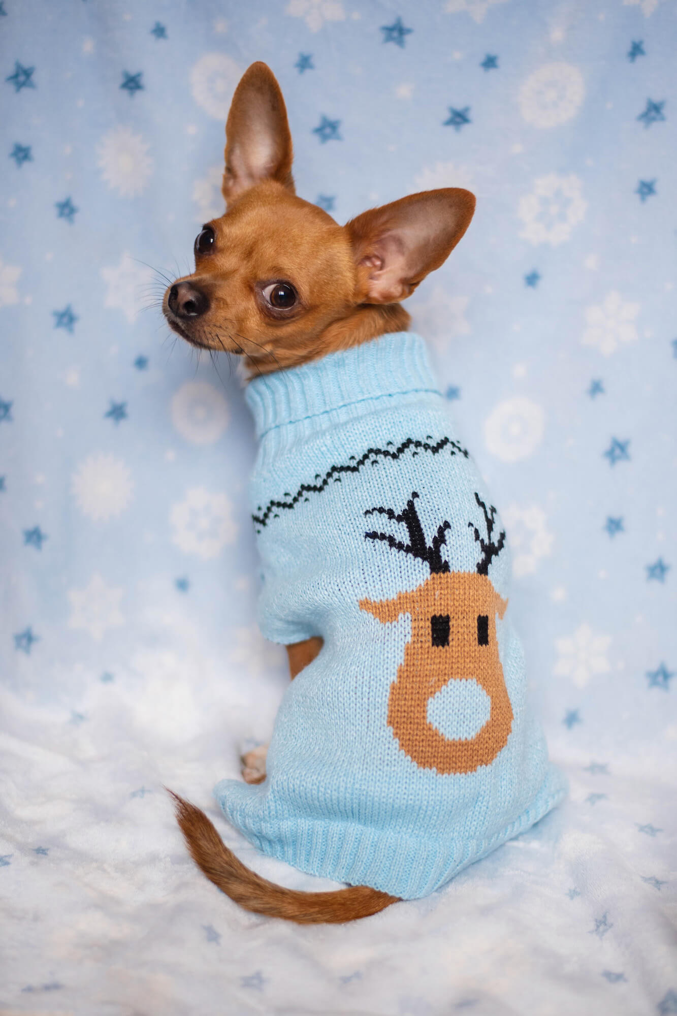 Vsepropejska Blixem vánoční svetr pro psa Barva: Modrá, Délka zad (cm): 20, Obvod hrudníku: 30 - 34 cm