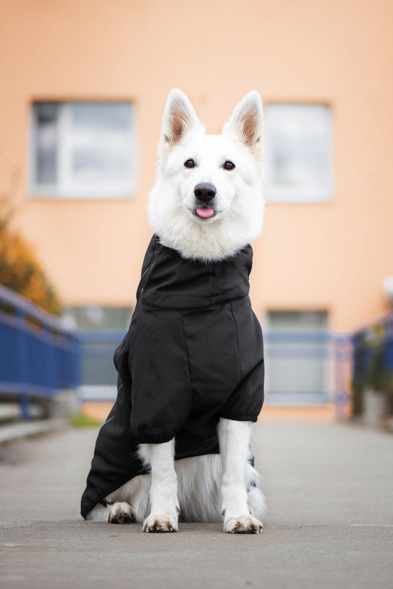 Vsepropejska Tais bunda pro psa na zip s reflexními prvky Barva: Černá, Délka zad (cm): 35, Obvod hrudníku: 50 - 54 cm