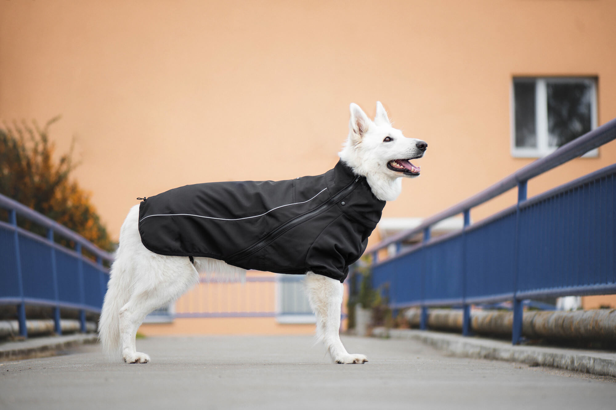 Vsepropejska Tais bunda pro psa na zip s reflexními prvky Barva: Černá, Délka zad (cm): 45, Obvod hrudníku: 62 - 66 cm
