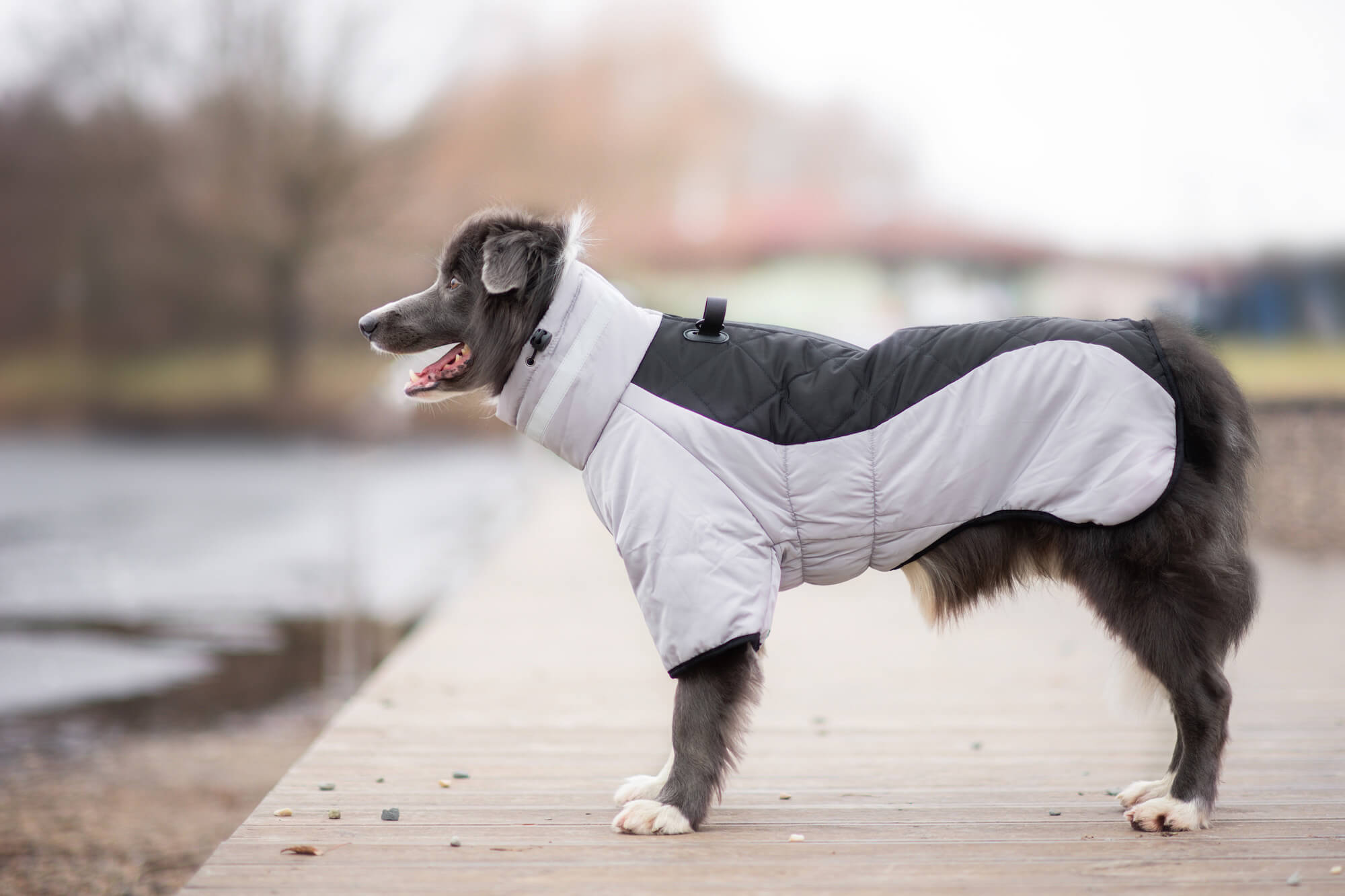 Vsepropejska Plex zimní bunda pro psa Barva: Černá, Délka zad (cm): 47, Obvod hrudníku: 50 - 54 cm