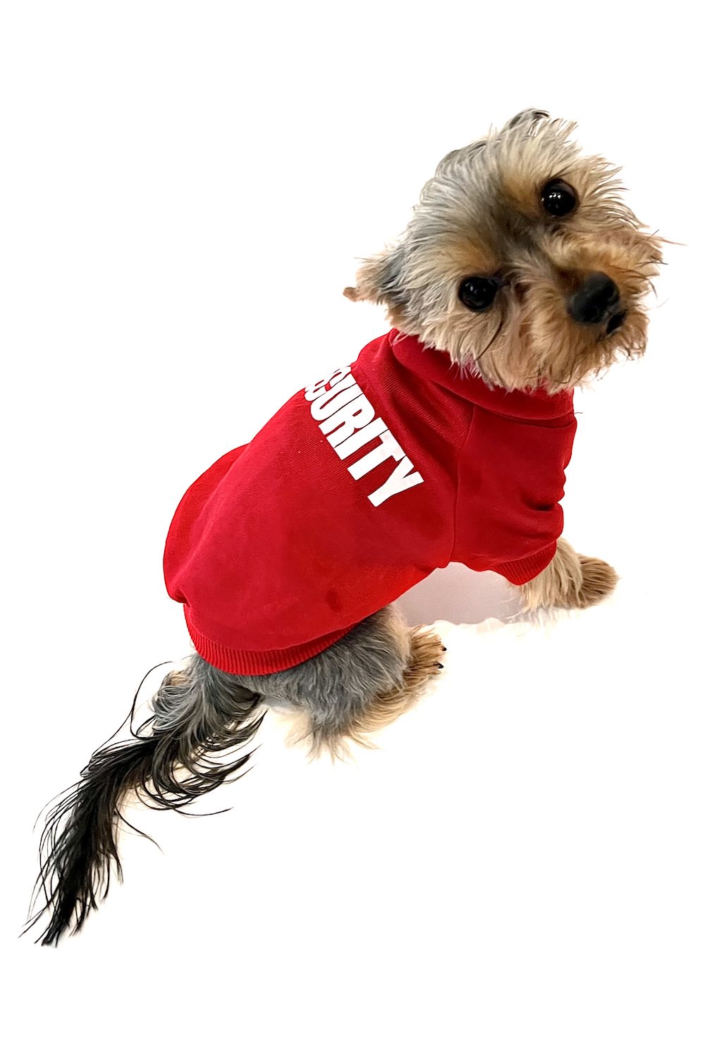 Vsepropejska Zagi sportovní mikina pro psa Barva: Červená, Délka zad (cm): 16, Obvod hrudníku: 30 - 34 cm