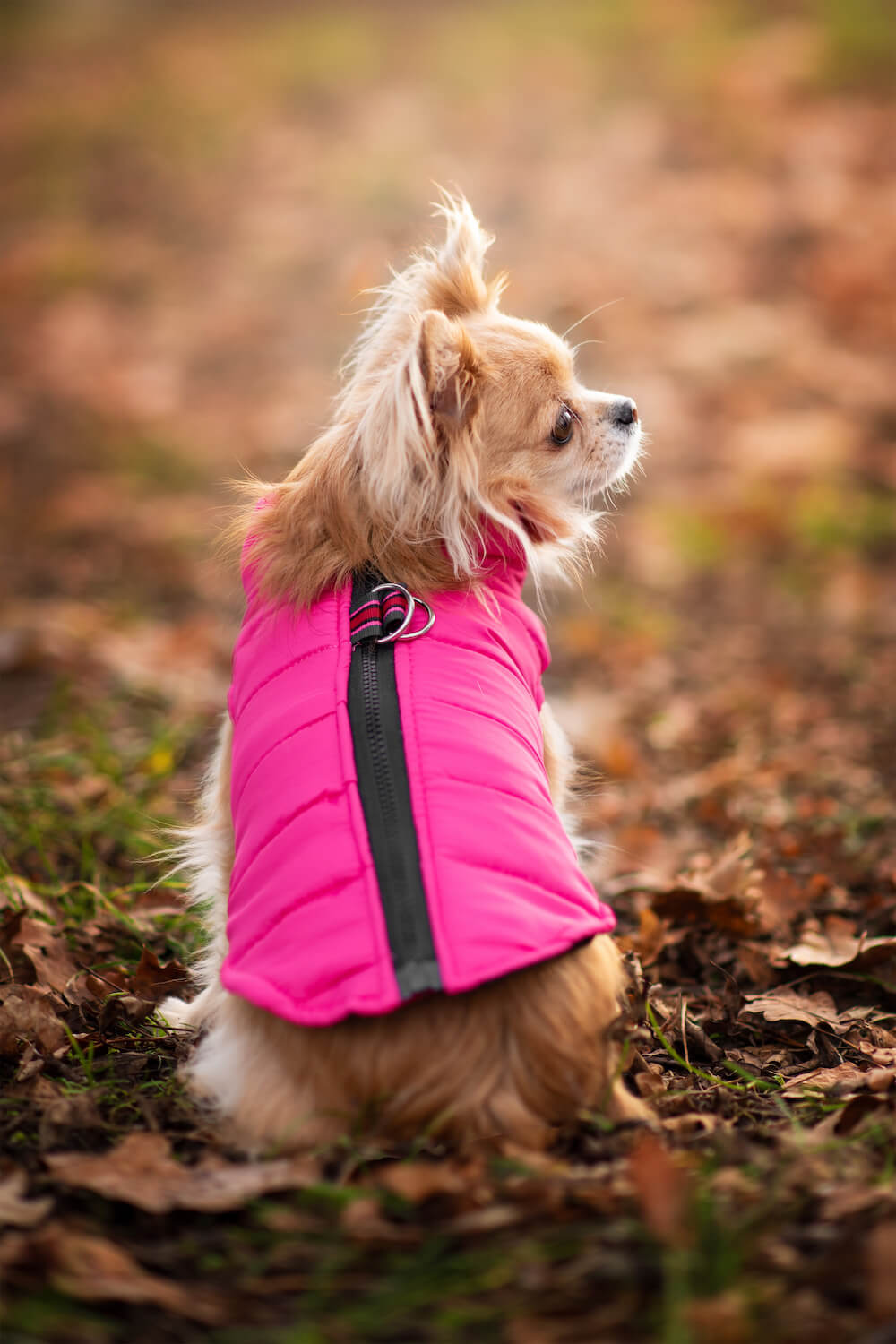 Vsepropejska Color-rainy obleček pro psa na zip Barva: Růžová, Délka zad (cm): 29, Obvod hrudníku: 36 - 40 cm