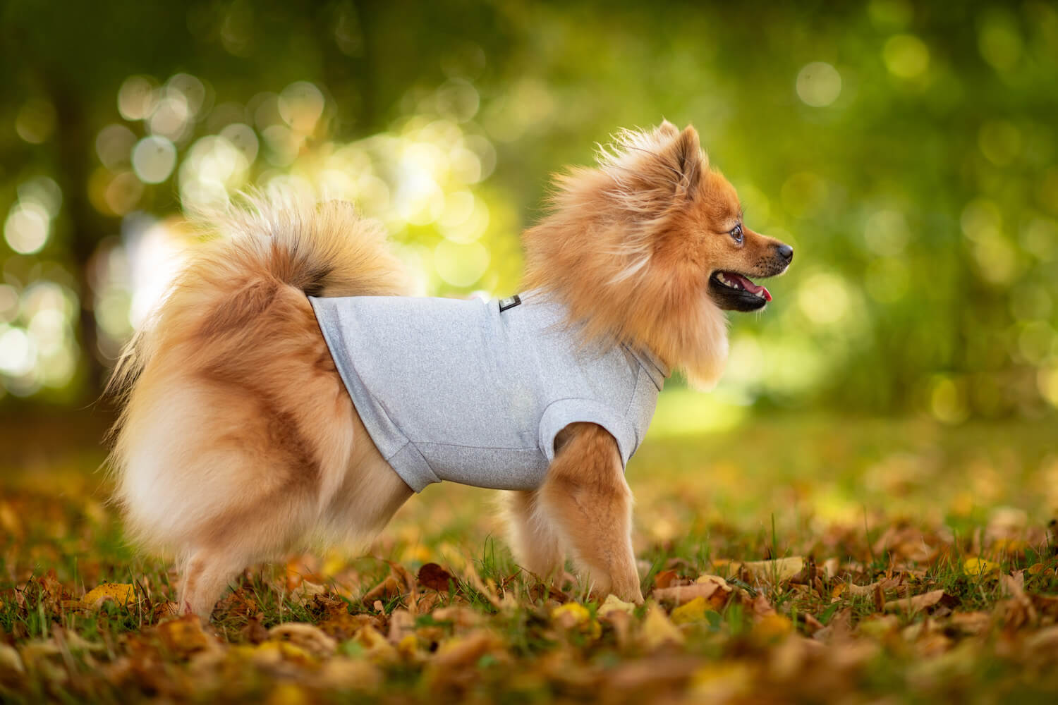 Vsepropejska Enji elastické tričko pro psa Barva: Šedá, Délka zad (cm): 25, Obvod hrudníku: 33 - 38 cm