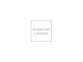 Masážní olej CELULINIE