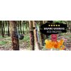 EcoViking Best Natural Rubber Pacifier Award Winning 2019 Category 5 1500x630