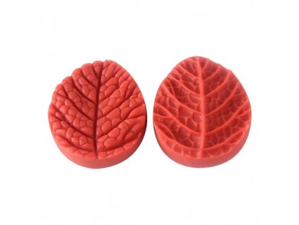 Žilkovač list výrazný