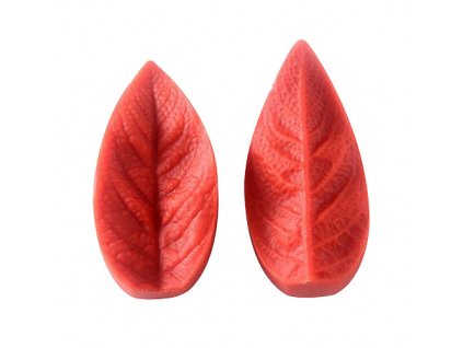 Žilkovač list gardenia