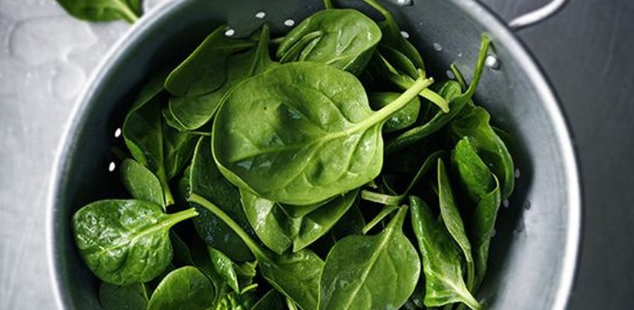 Špenátová roláda s tvarohovou náplní