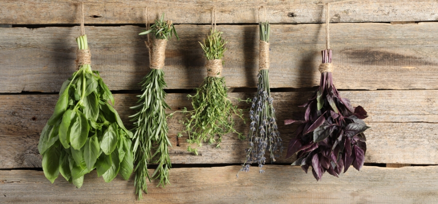 Bylinky pomáhají hubnout bez chemie