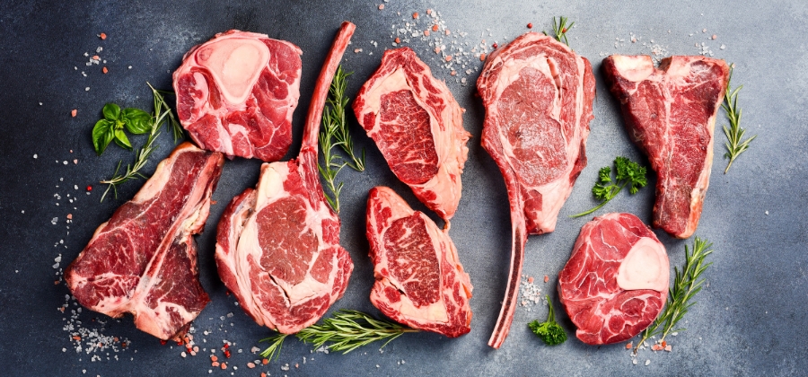 Carnivore dieta: Extrémní stravování nebo trendy cesta ke zdraví?