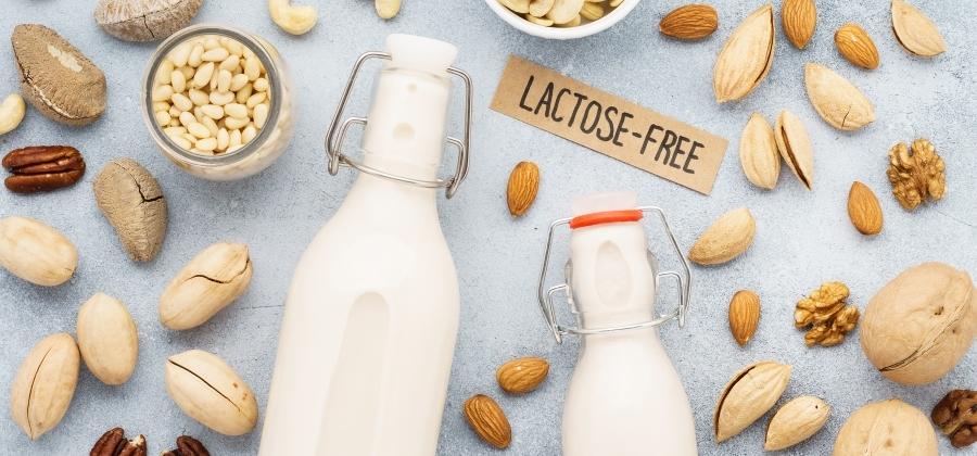 Jaké druhy diet znáte? Seznámíme vás s 5 nejčastějšími