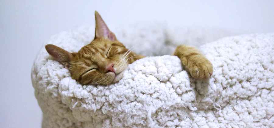 Zimní únava - co nám tělo naznačuje?