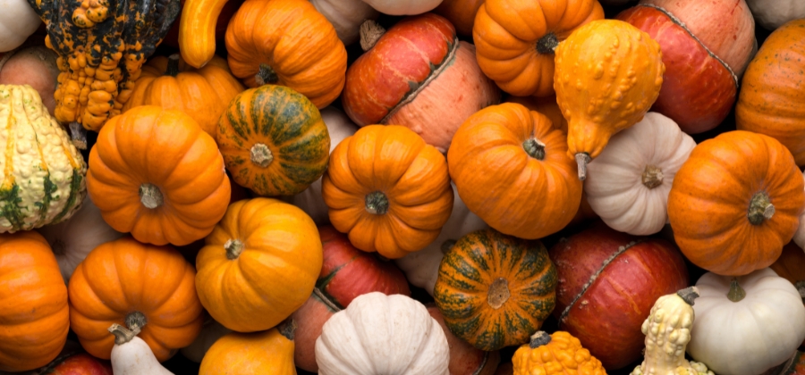 Dýně v keto dietě: jak ji využít při hubnutí?