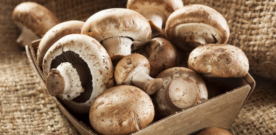 Žampiónový burger