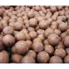 boilies Chytil Skunk 250g