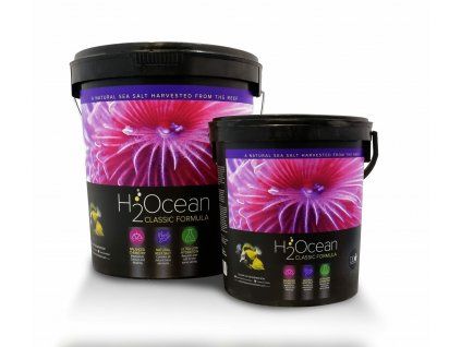 h2ocean classic formula