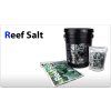 reef salt sps