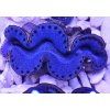 Tridacna maxima ULTRA BLUE č.3