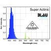 T5 Super Actinic