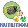 nutrition image