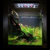 blau cubic 91l aquarium1