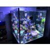 flipper deepsee magnified viewer flipper 5