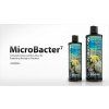 microbacter 7