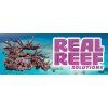 real reef rock banner5
