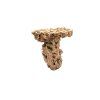 caribsea moani shrooms 2 per box 907 kg