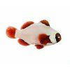 premnas biaculeatus Gold Nuget2